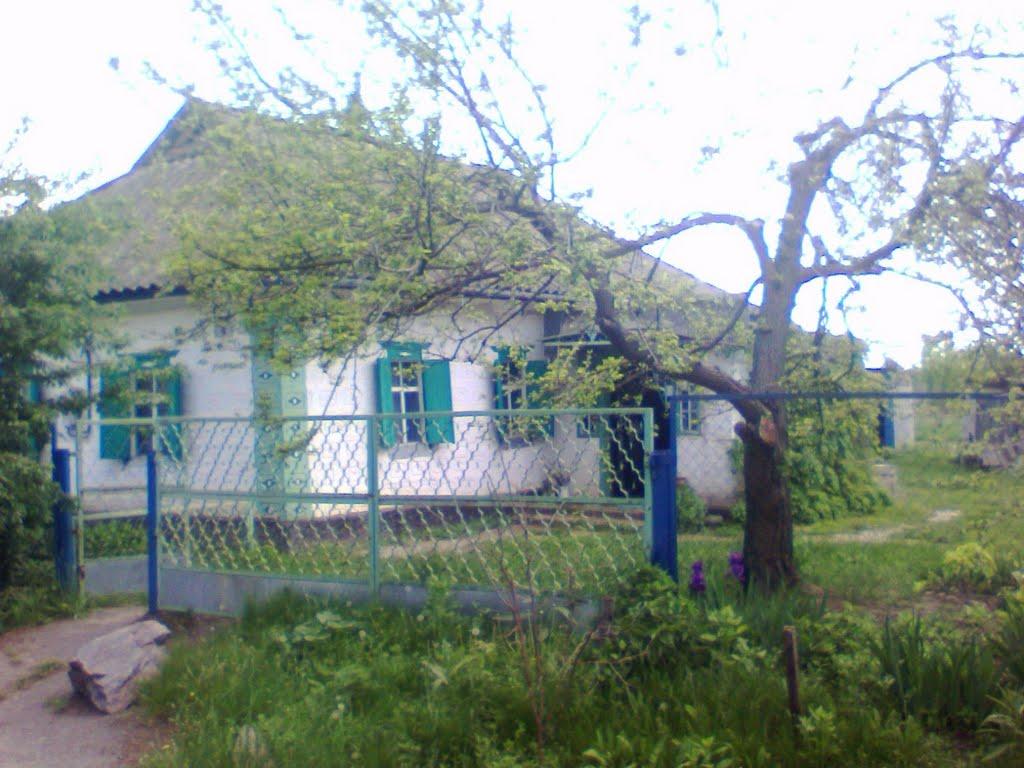 Куцеволівка з panoramio.com - Куцеволівка