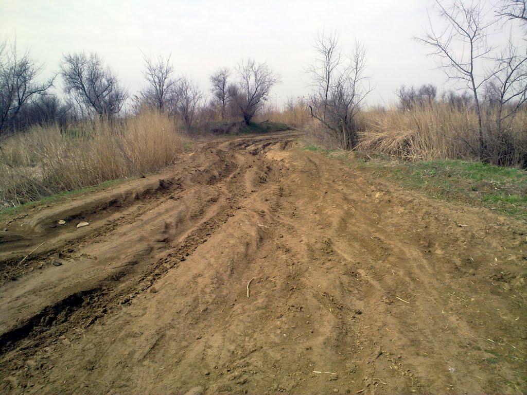 Маяки з panoramio.com - Маяки