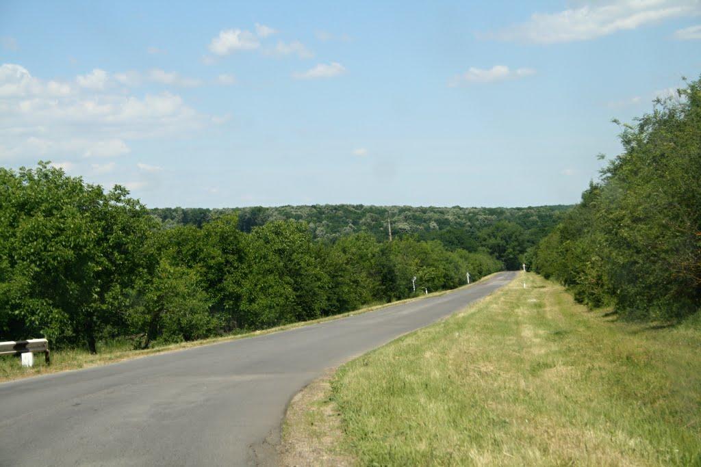 Олексіївка з panoramio.com - Алексеевка