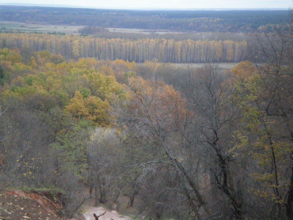 Червлене з panoramio.com - Червлене