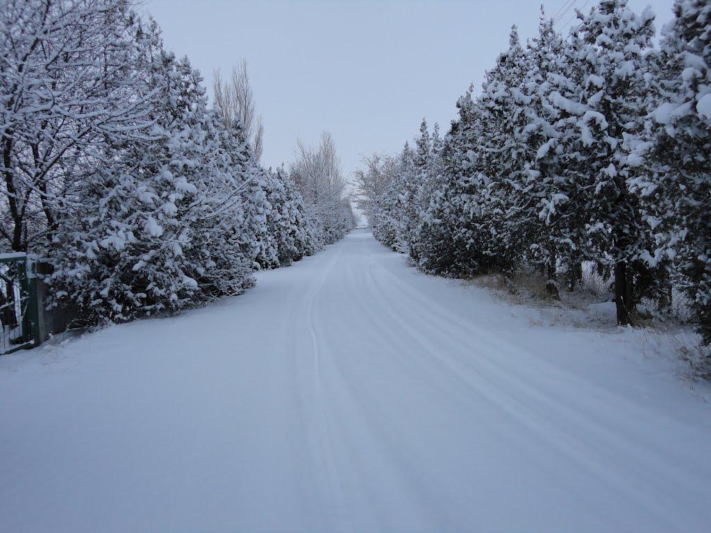 Леніне з panoramio.com - Леніне