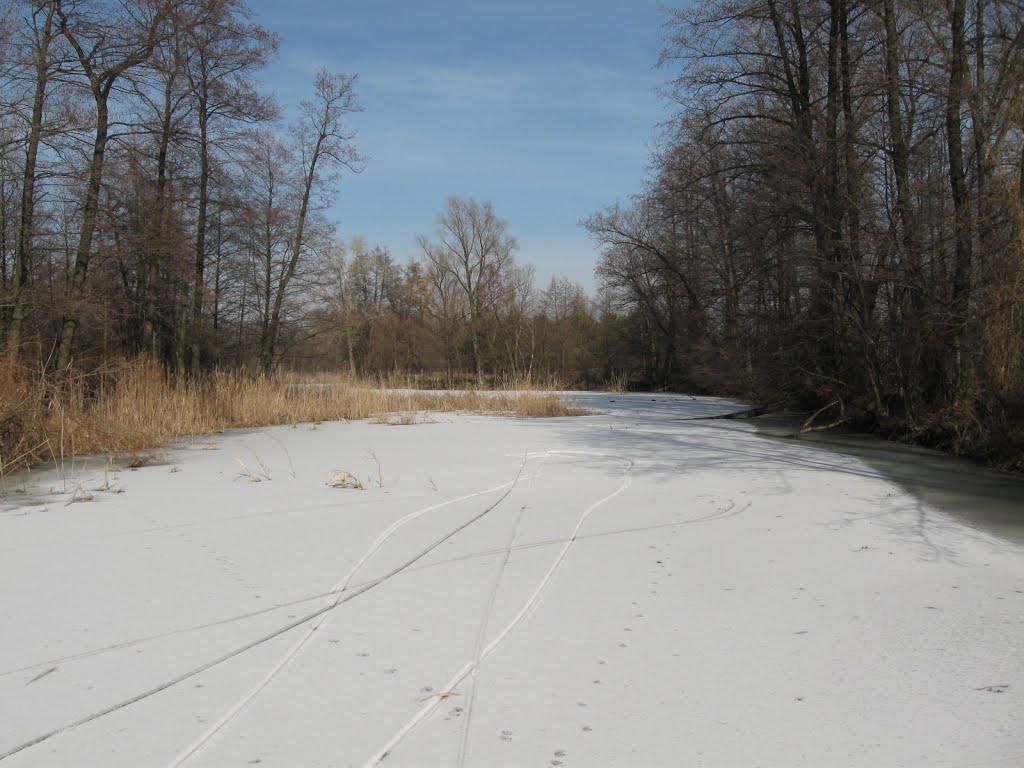 Кунцеве з panoramio.com - Кунцеве