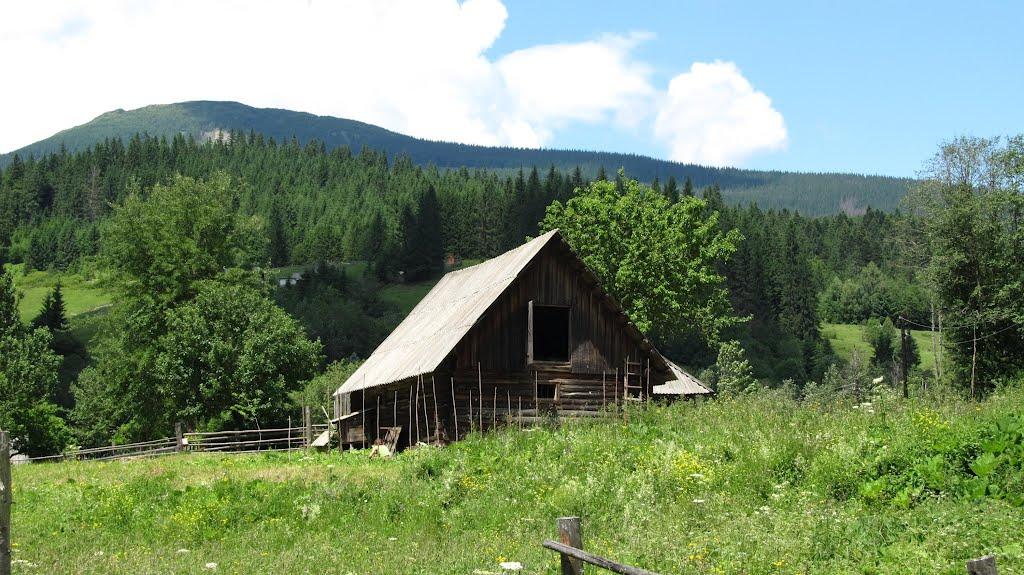 Буркут з panoramio.com - Буркут