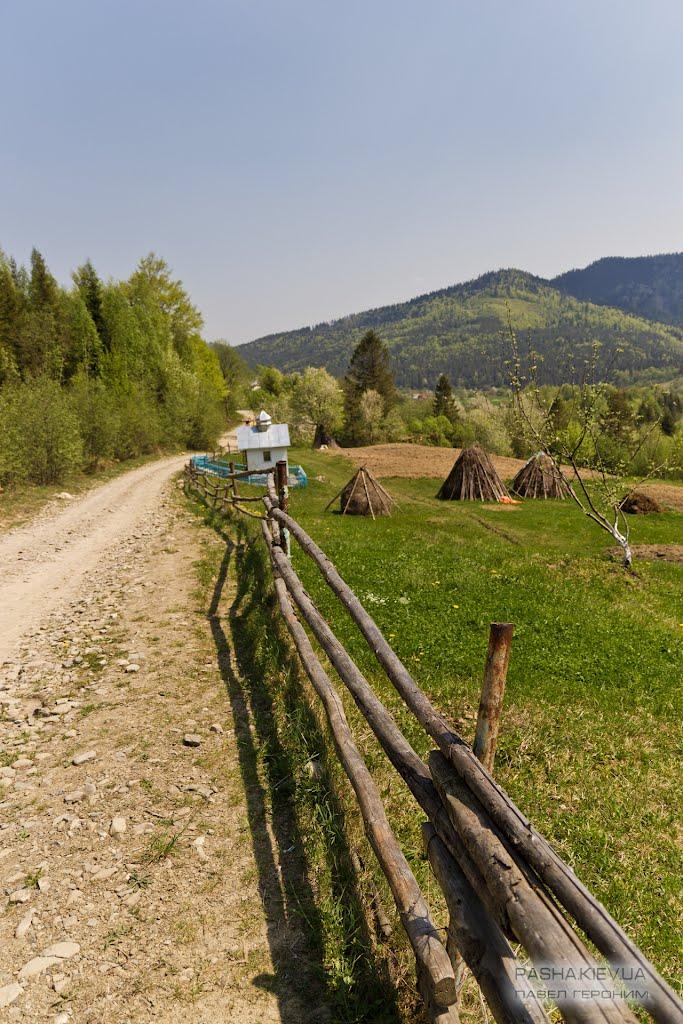 Кричка з panoramio.com - Кричка