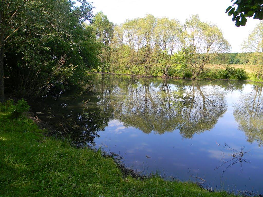 Півнівщина з panoramio.com - Півнівщина