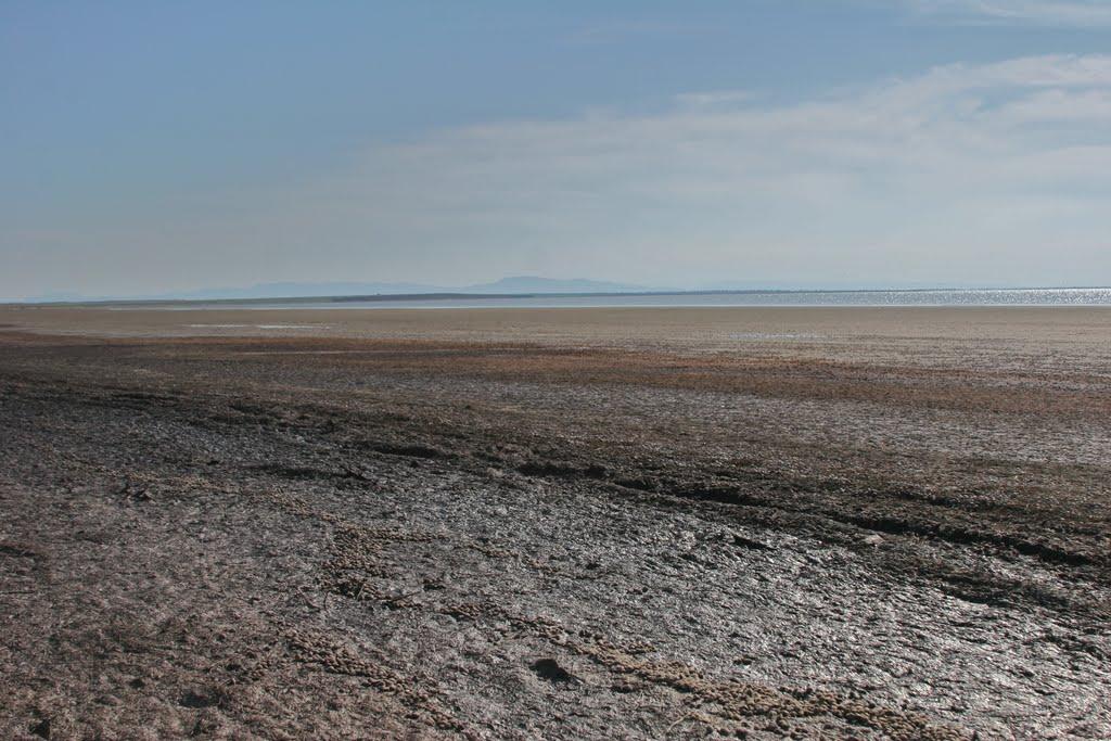 Львове з panoramio.com - Львове
