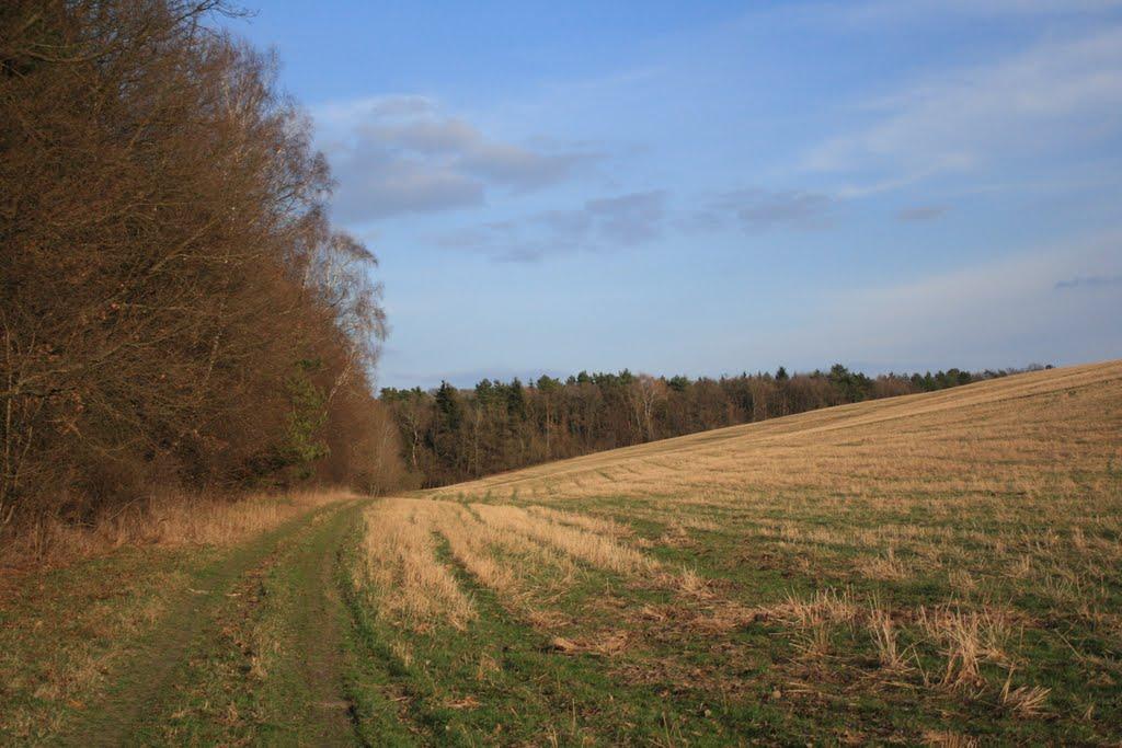 Воротнів з panoramio.com - Воротнів