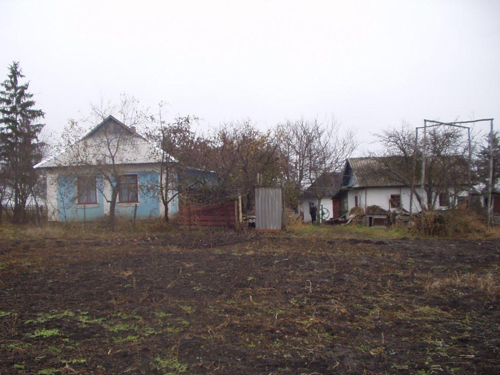 Великі Зозулинці з panoramio.com - Великі Зозулинці