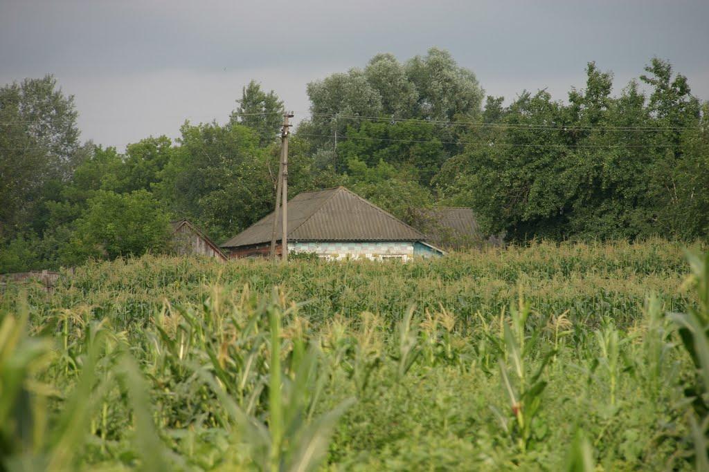 Михайлівка з panoramio.com - Михайлівка
