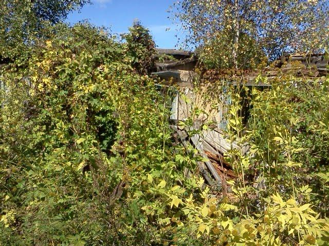 Магдин з panoramio.com - Магдин