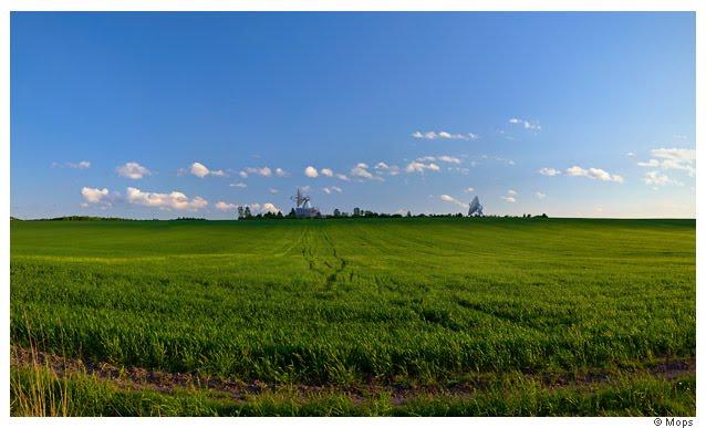 Сасів з panoramio.com - Сасов