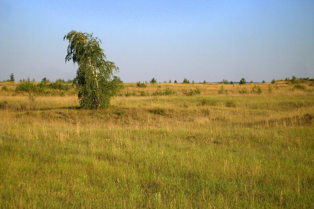 Житлівка з panoramio.com - Житлівка