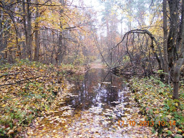 Бондарня з panoramio.com - Бондарня