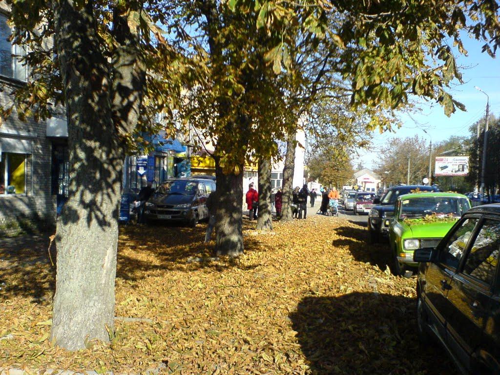 Славута з panoramio.com - Славута