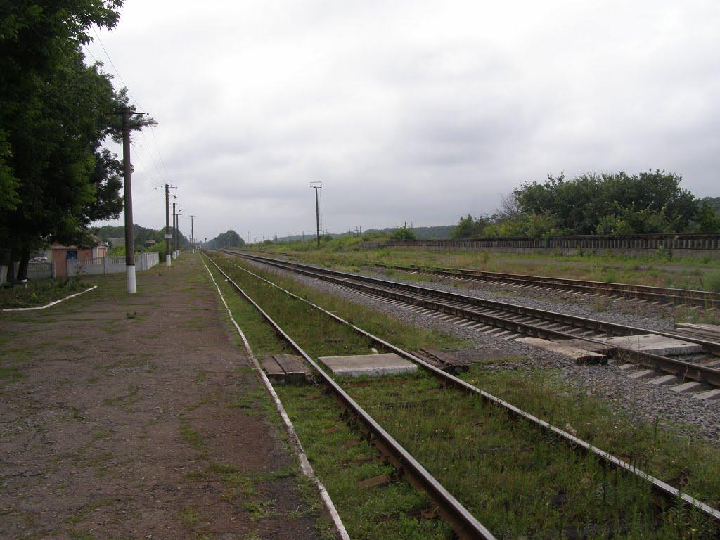 Кублич з panoramio.com - Кублич