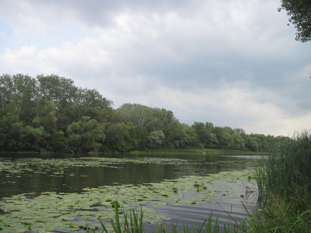 Потоки з panoramio.com - Потоки