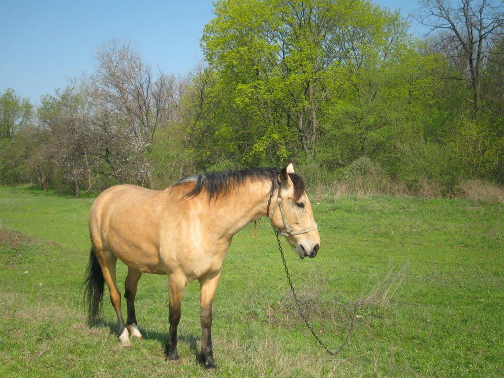 Вечірки з panoramio.com - Вечірки