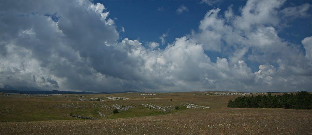 Пчолине з panoramio.com - Pcholyne