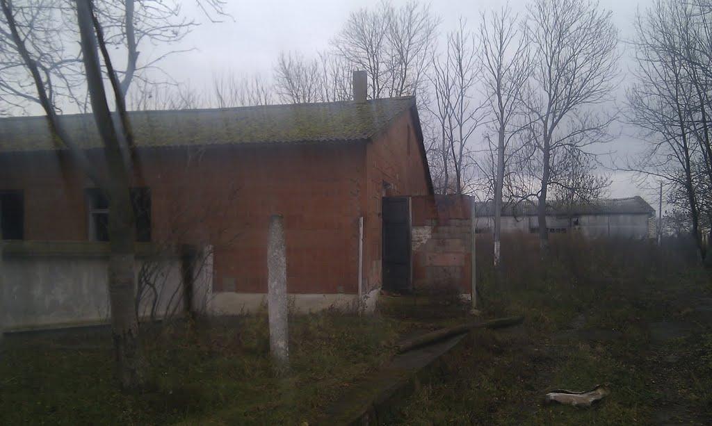 Чудниця з panoramio.com - Chudnytsya