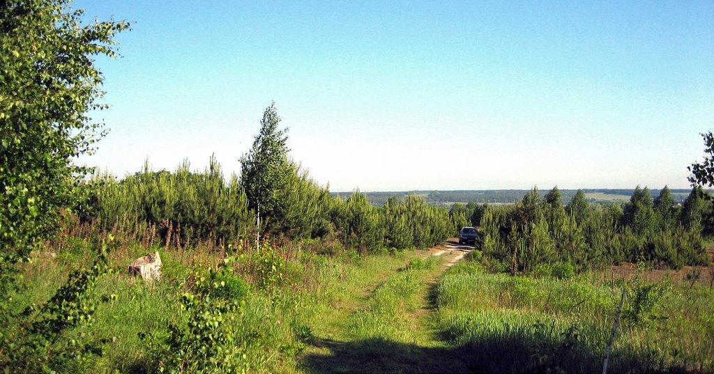 Дзвінкове з panoramio.com - Дзвінкове