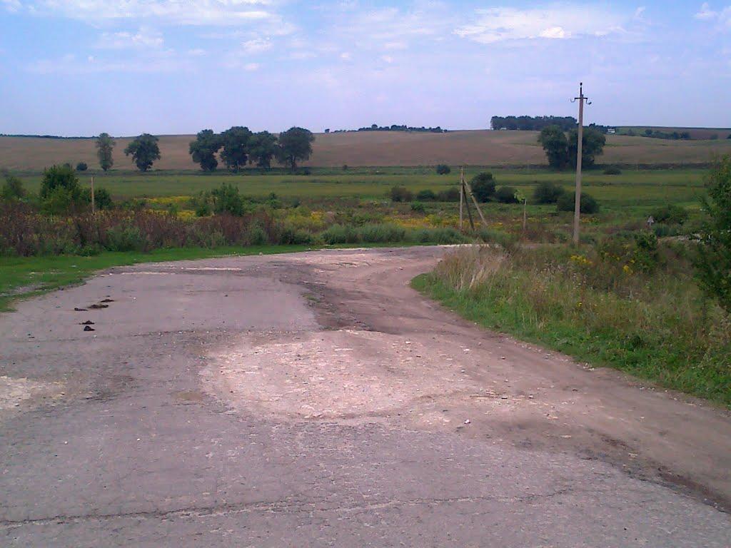 Сатиїв з panoramio.com - Сатыев