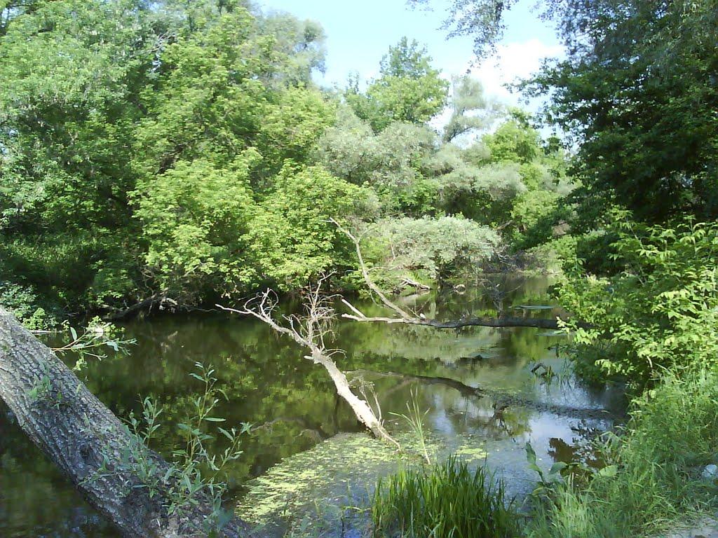 Есхар з panoramio.com - Есхар