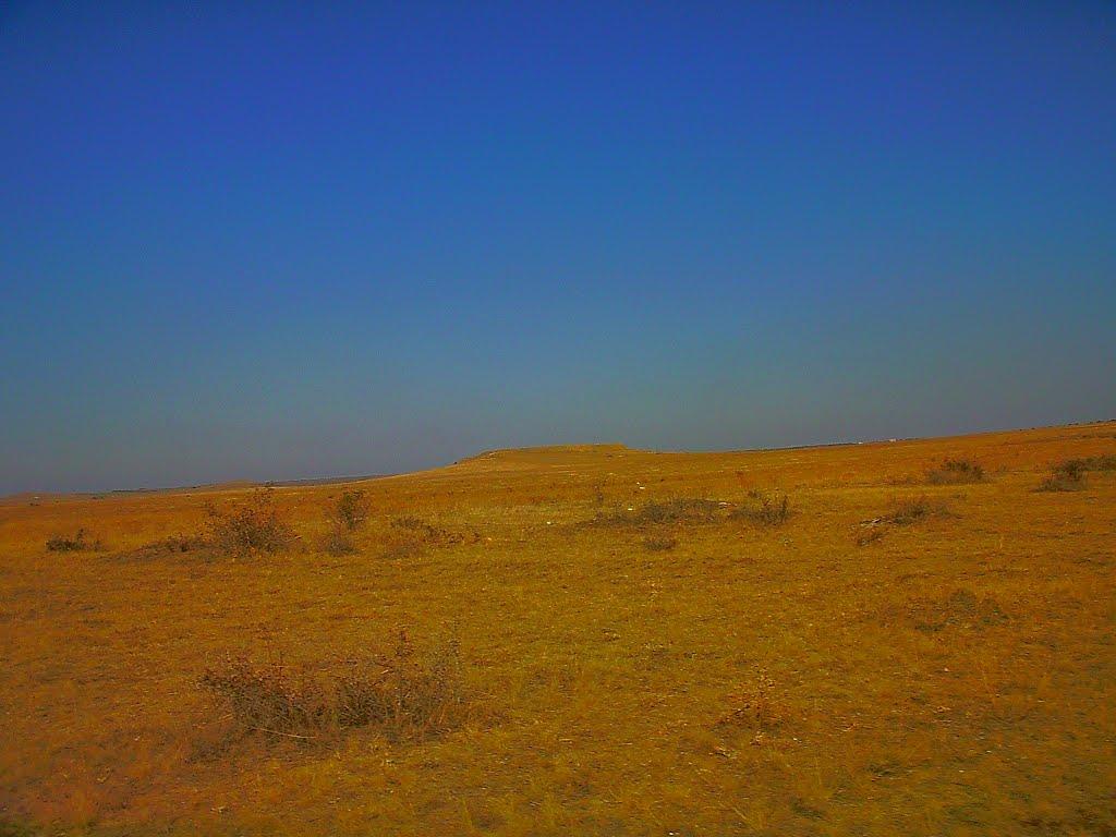 Каштани з panoramio.com - Каштани