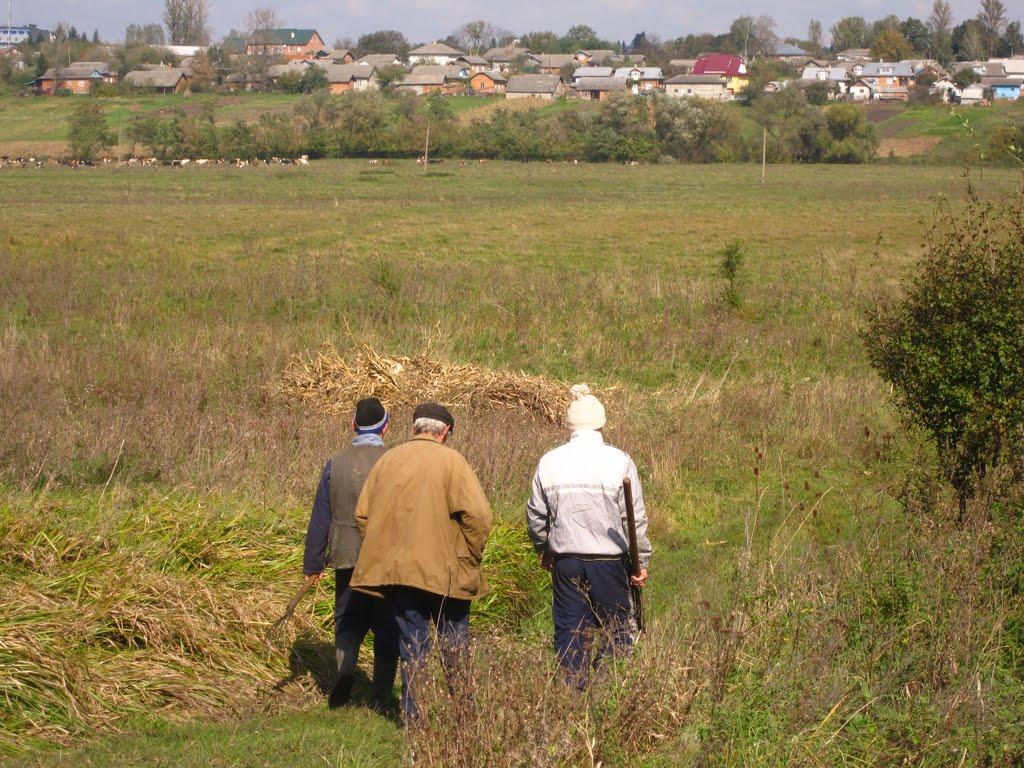 Торговиця з panoramio.com - Торговиця