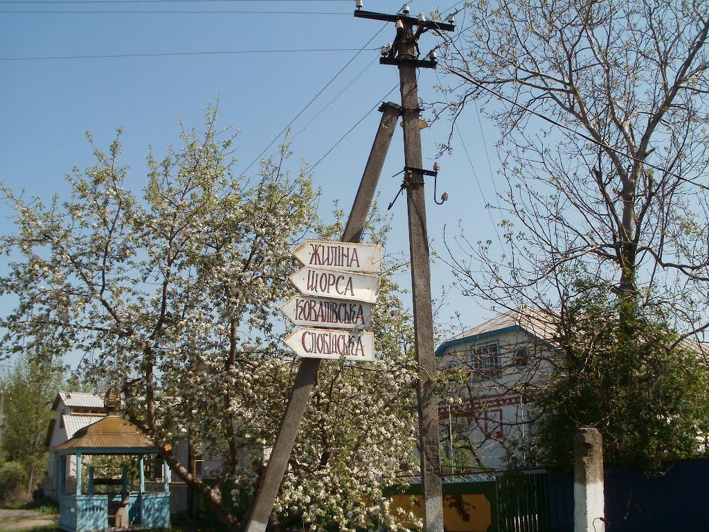 Четвертинівка з panoramio.com - Четвертинівка