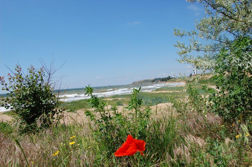 Білярі з panoramio.com - Білярі