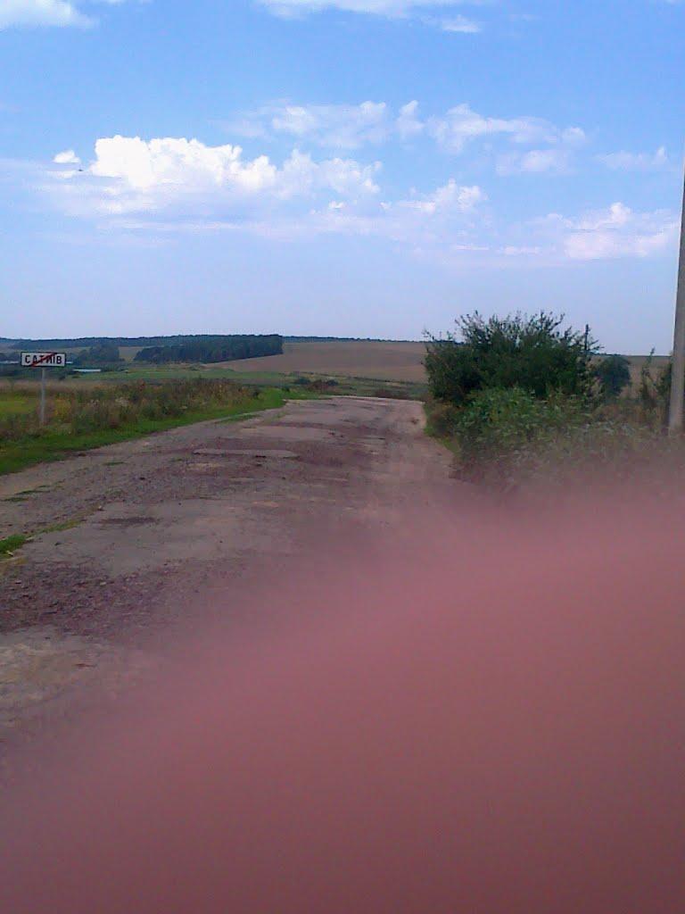 Сатиїв з panoramio.com - Сатыев