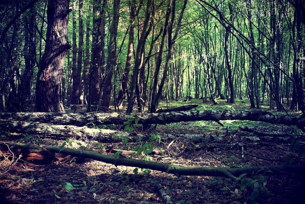 Воротнів з panoramio.com - Воротнев