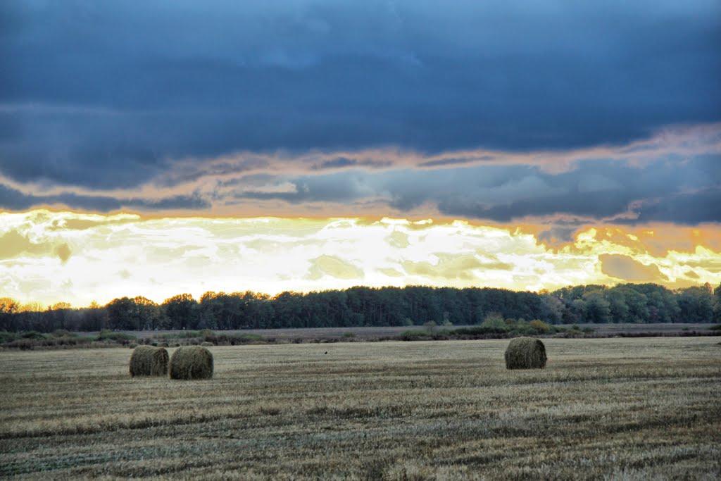 Волошинівка з panoramio.com - Волошинівка