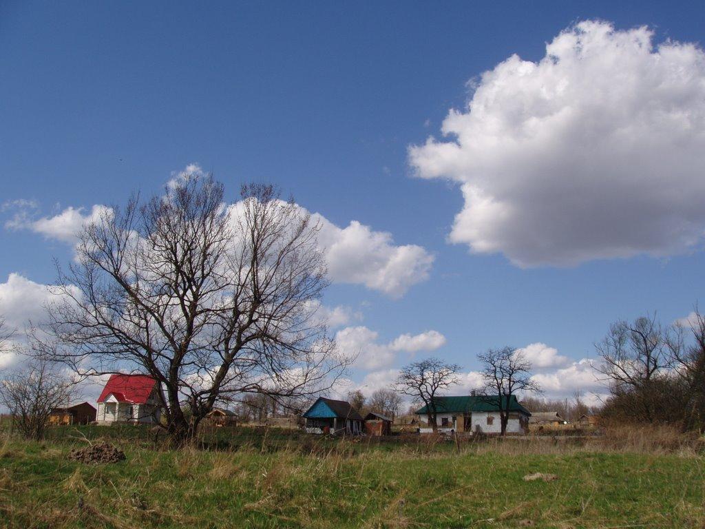 Дзвониха з panoramio.com - Дзвониха