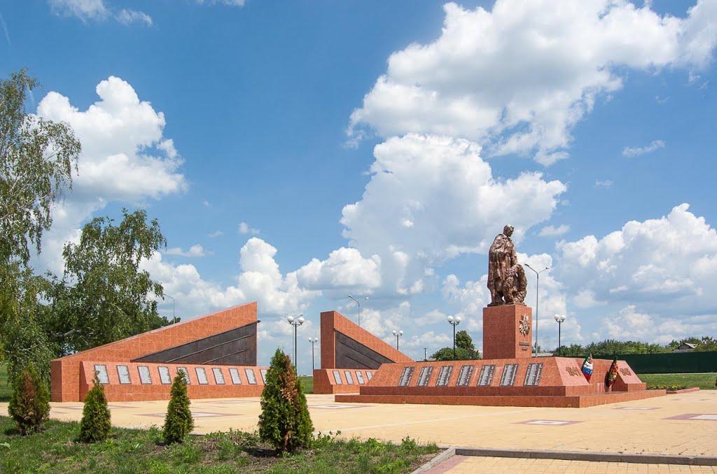 Стариця з panoramio.com - Старица