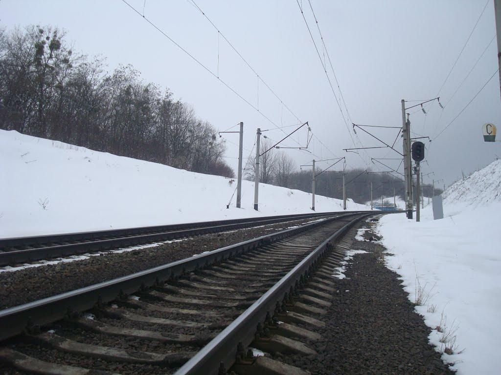 Березове з panoramio.com - Berezove
