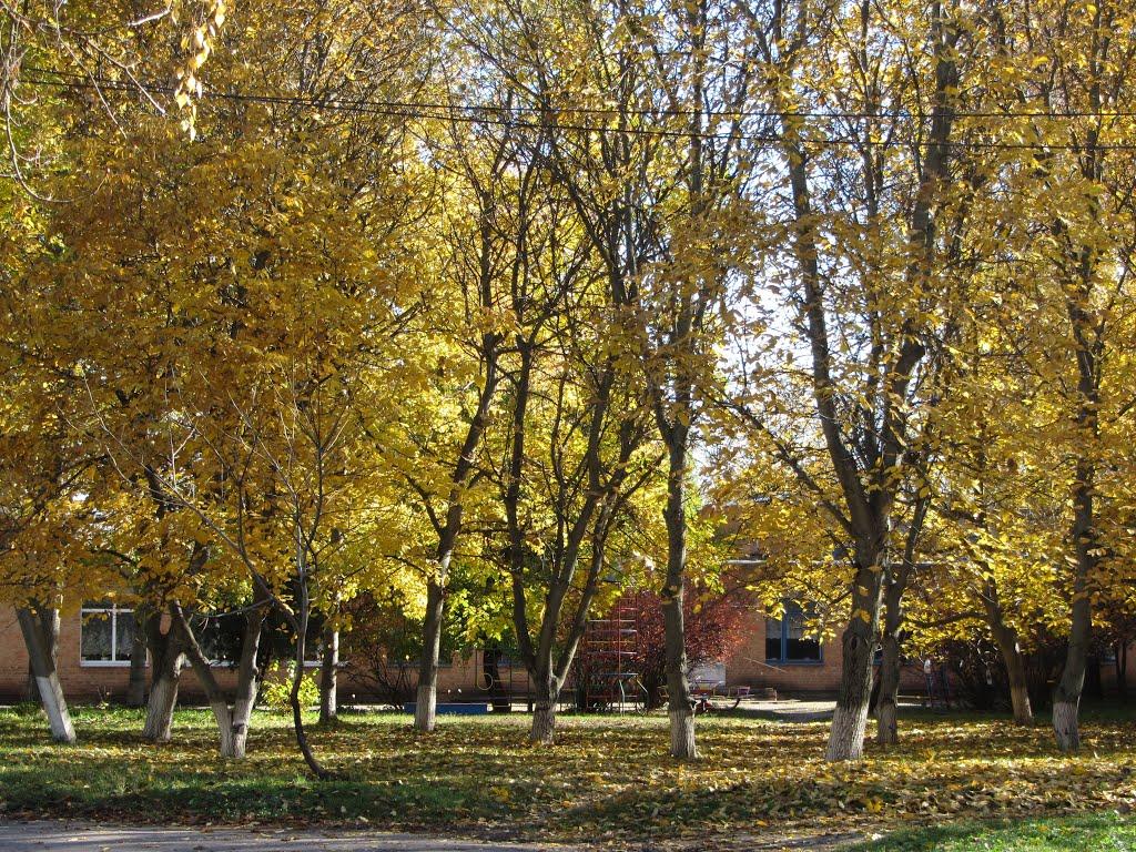 Попівка з panoramio.com - Поповка