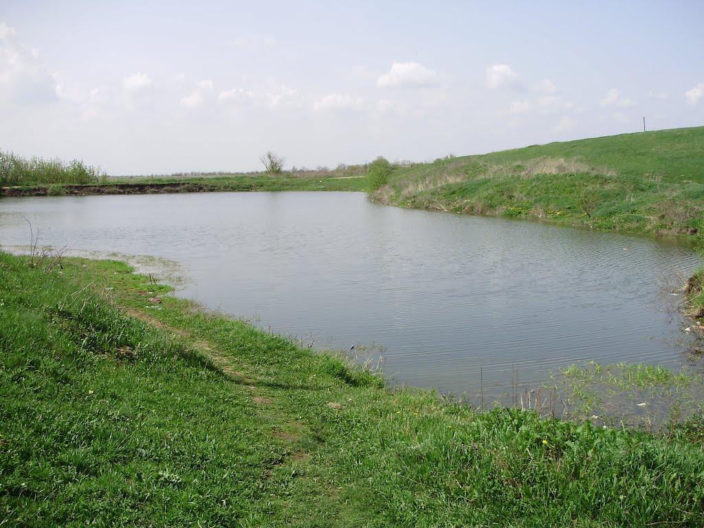 Новозванівка з panoramio.com - Новозвановка