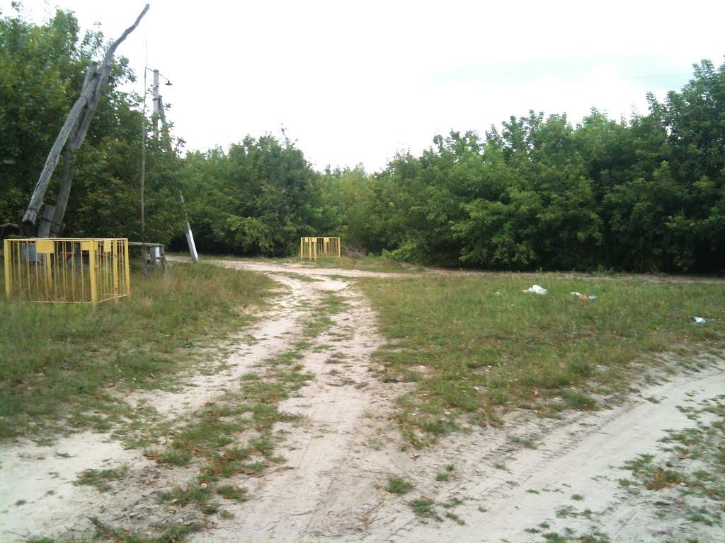 Любитове з panoramio.com - Любитово