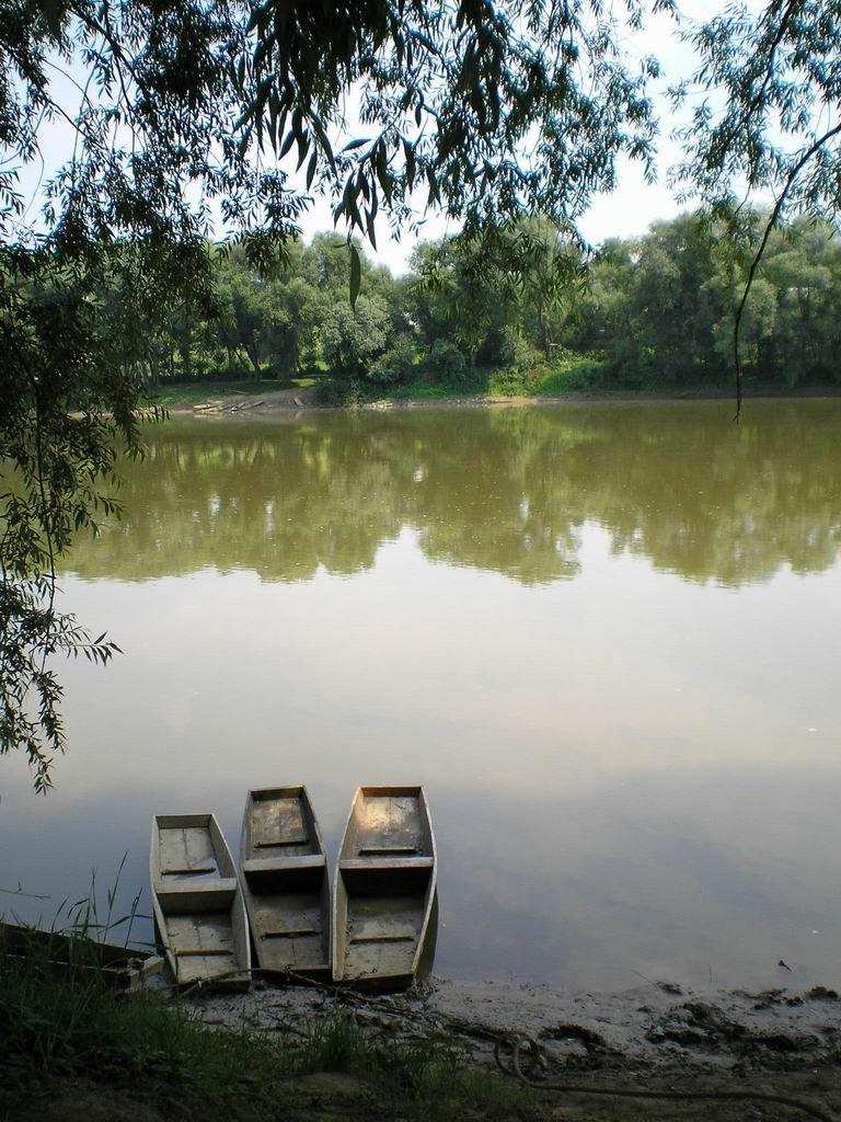 Коропець з panoramio.com - Коропец