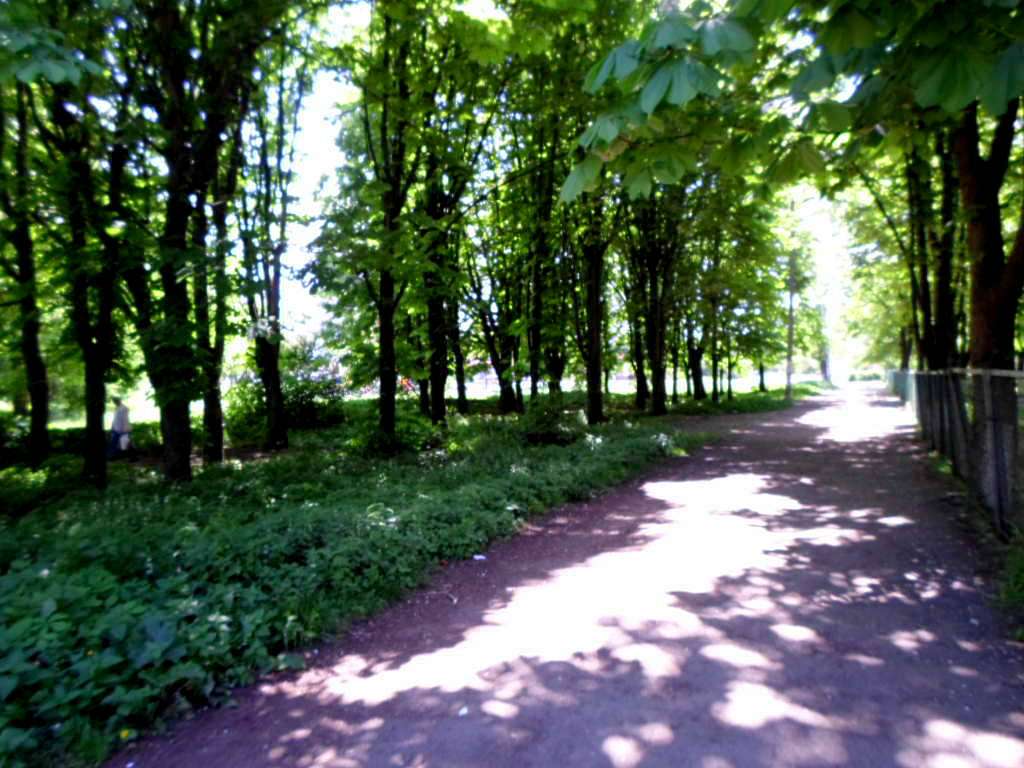 парки - Стрый