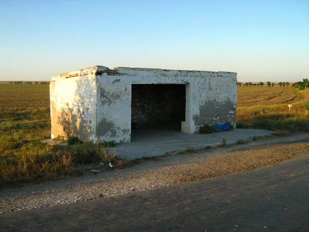 Окунівка з panoramio.com - Окуневка