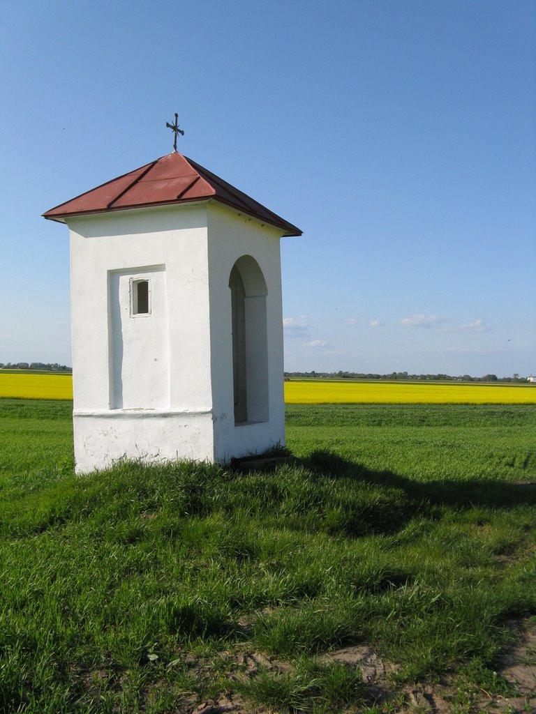 Биків з panoramio.com - Быков