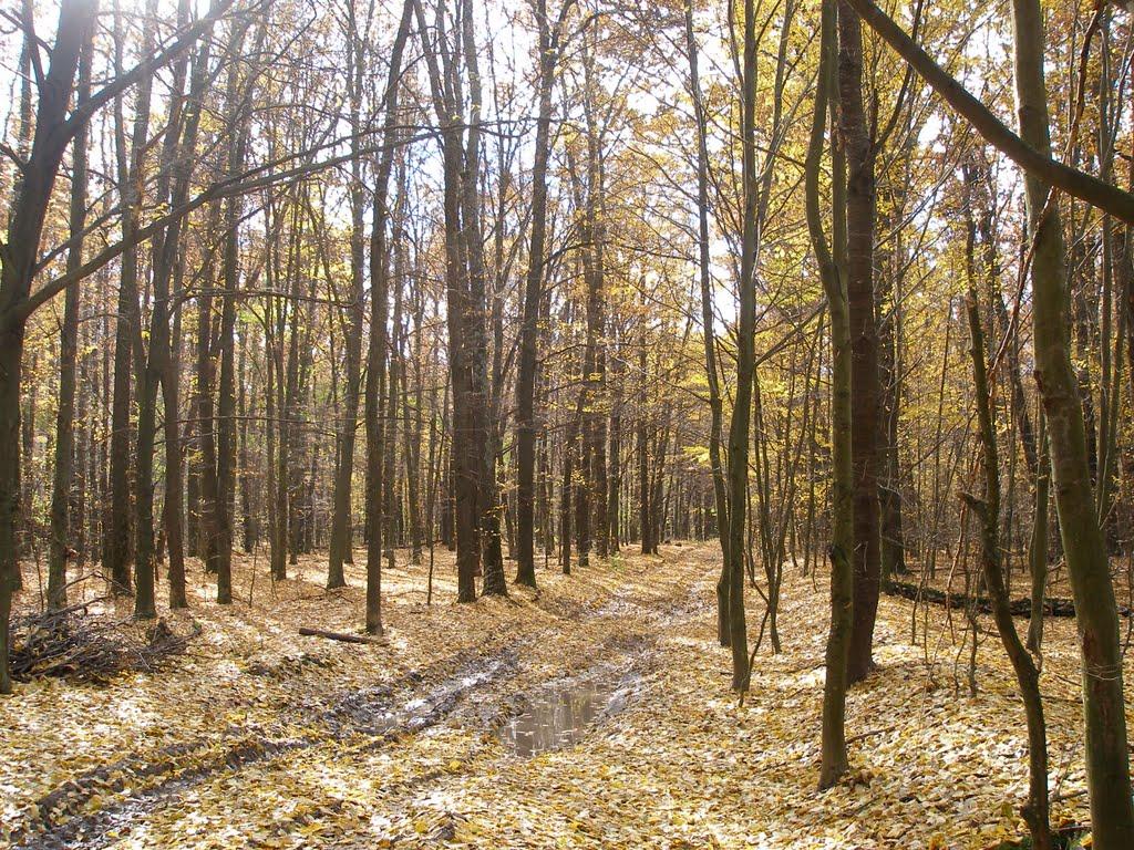 Маньківка з panoramio.com - Маньківка