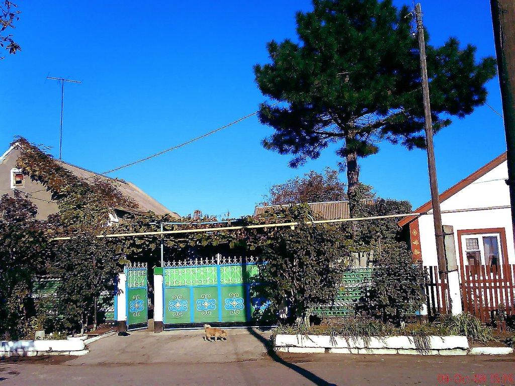 Лучинське з panoramio.com - Лучинське