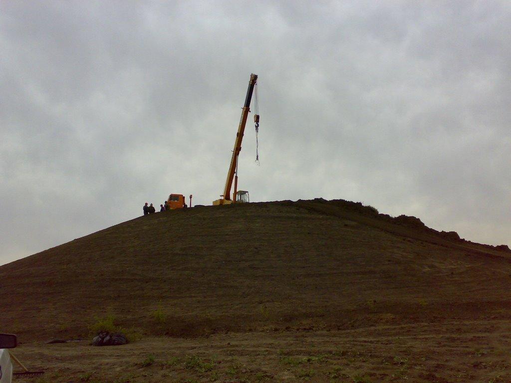 Дрозди з panoramio.com - Дрозди