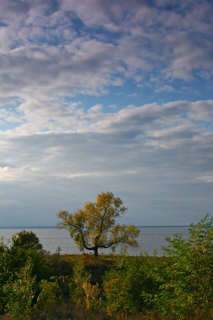 Трахтемирів з panoramio.com - Трахтемиров