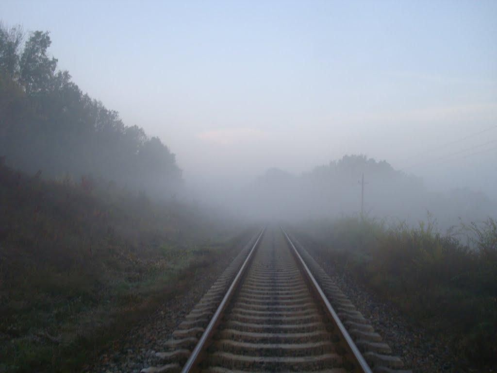Городок з panoramio.com - Gorodok