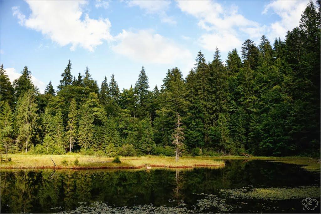 Заверхня Кичера з panoramio.com - Заверхня Кичера