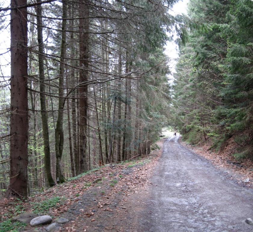 Буркут з panoramio.com - Буркут